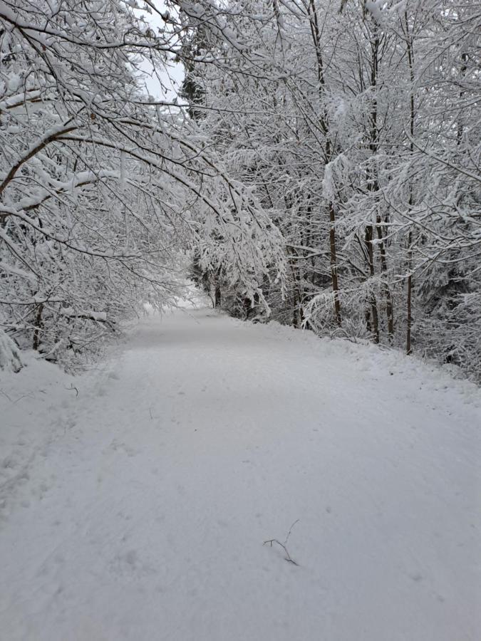 Villa Majkowiczowka Czorsztyn Esterno foto